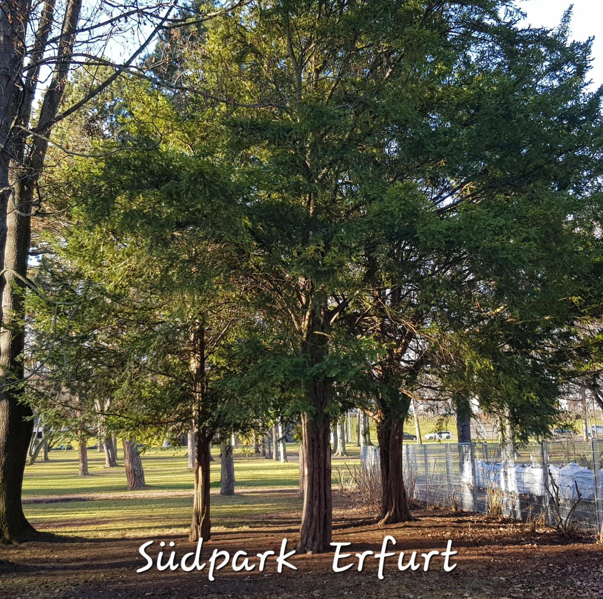 Apartment Am Suedpark Erfurt - Inkl Garten Mit Sitzlounge - Zentrumsnah Luaran gambar